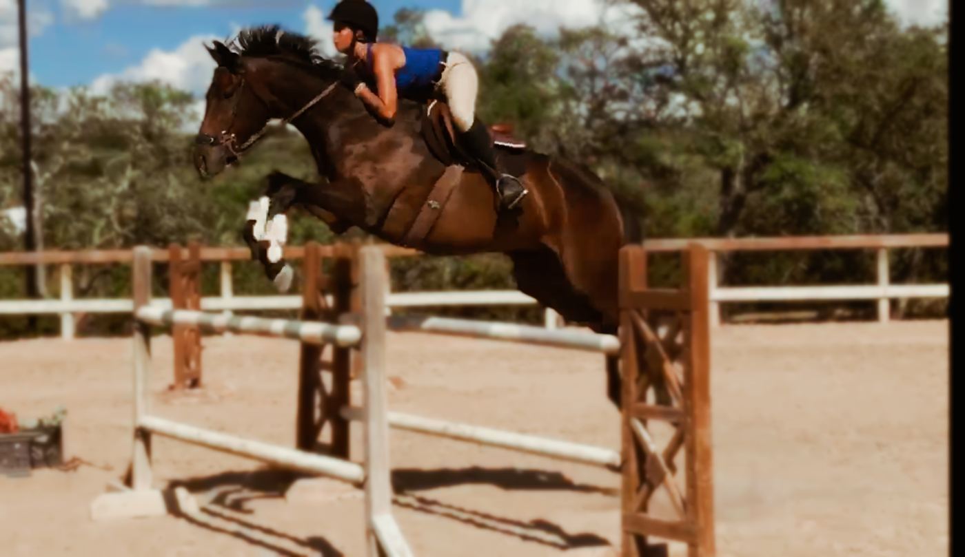 Gwen jumping a bay horse over a rail in a Hill Country arena